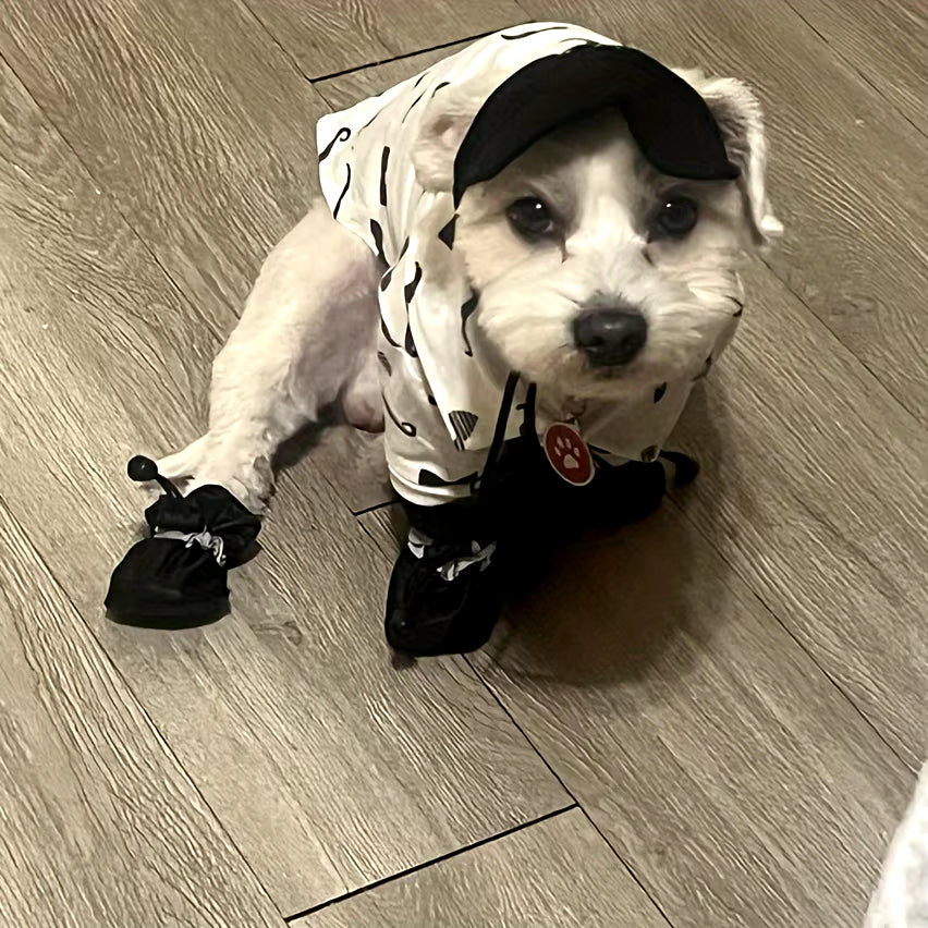 Waterafstotende schoentjes voor honden - foto 2