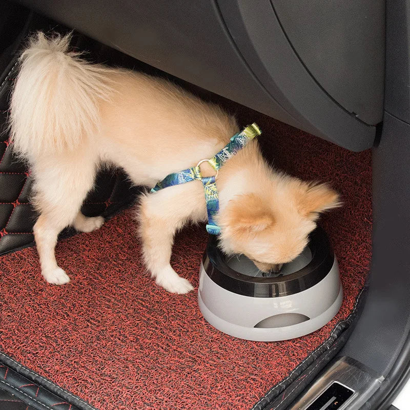 Morsvrije waterbak voor honden - foto 1