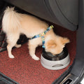 Morsvrije waterbak voor honden - foto 1